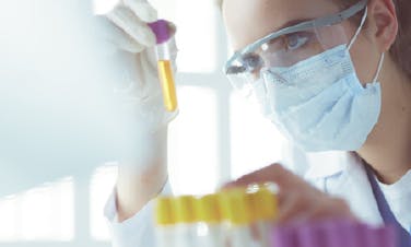 Compliance Quality 1 Mobile